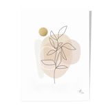 Bloom 1