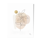 Bloom 1