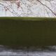 Curved sofa by Gigi Radice for Minotti, 1950