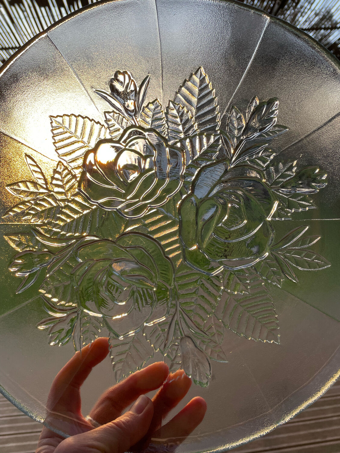 Glass cake or cheese display