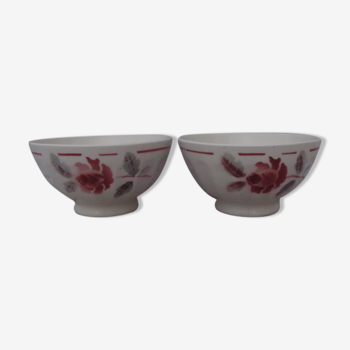 Set of 2 vintage Digoin style bowls