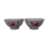 Set of 2 vintage Digoin style bowls