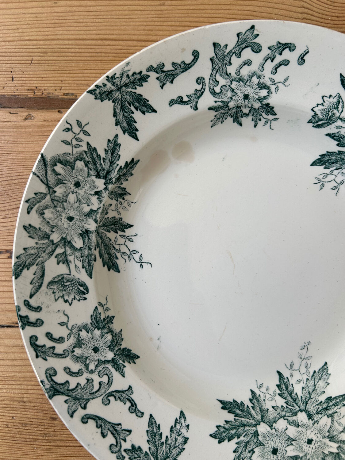 Set of 5 antique deep plates "Terre de Fer"