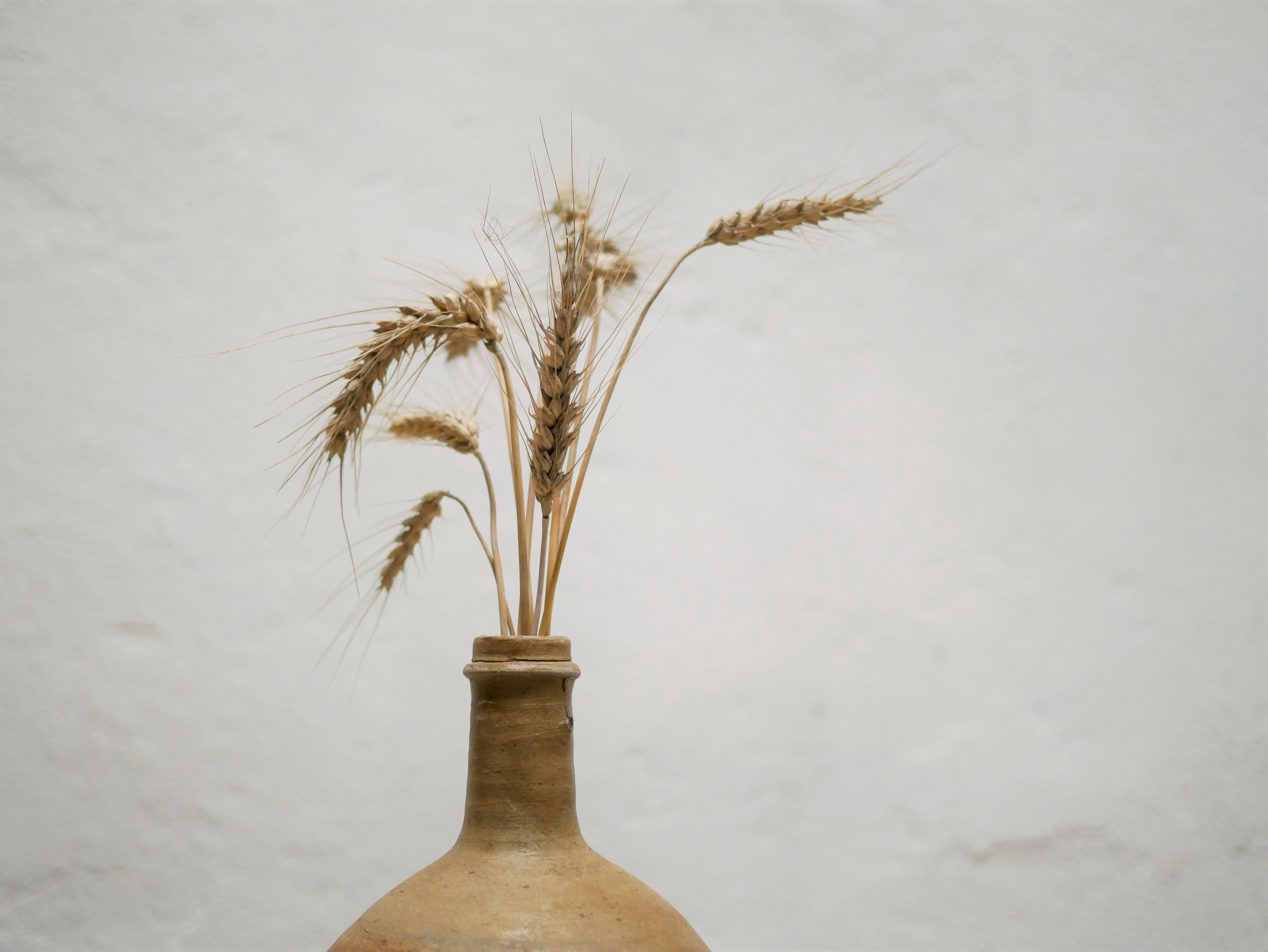 Vintage glazed terracotta jar