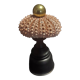 Cabinet of Curiosities sea urchin paracentrotus lividus on pedestal