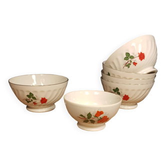 5 Digoin Sarreguemines bowls and 1 small Apilco