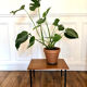 Small table
