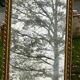 Large antique gilded mirror, wood and stucco gadroons, partially de-mercury