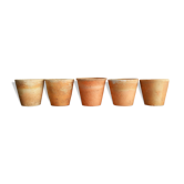 5 old terracotta pots