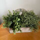 Wooden planter white patina