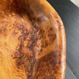 XL thuja root wooden dish