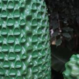 Cactus Vert édition originale 1986 numérotée 1807 / 2000