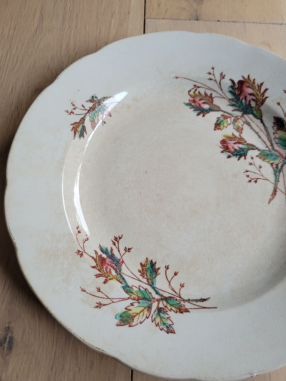 Pexonne FF flat plate