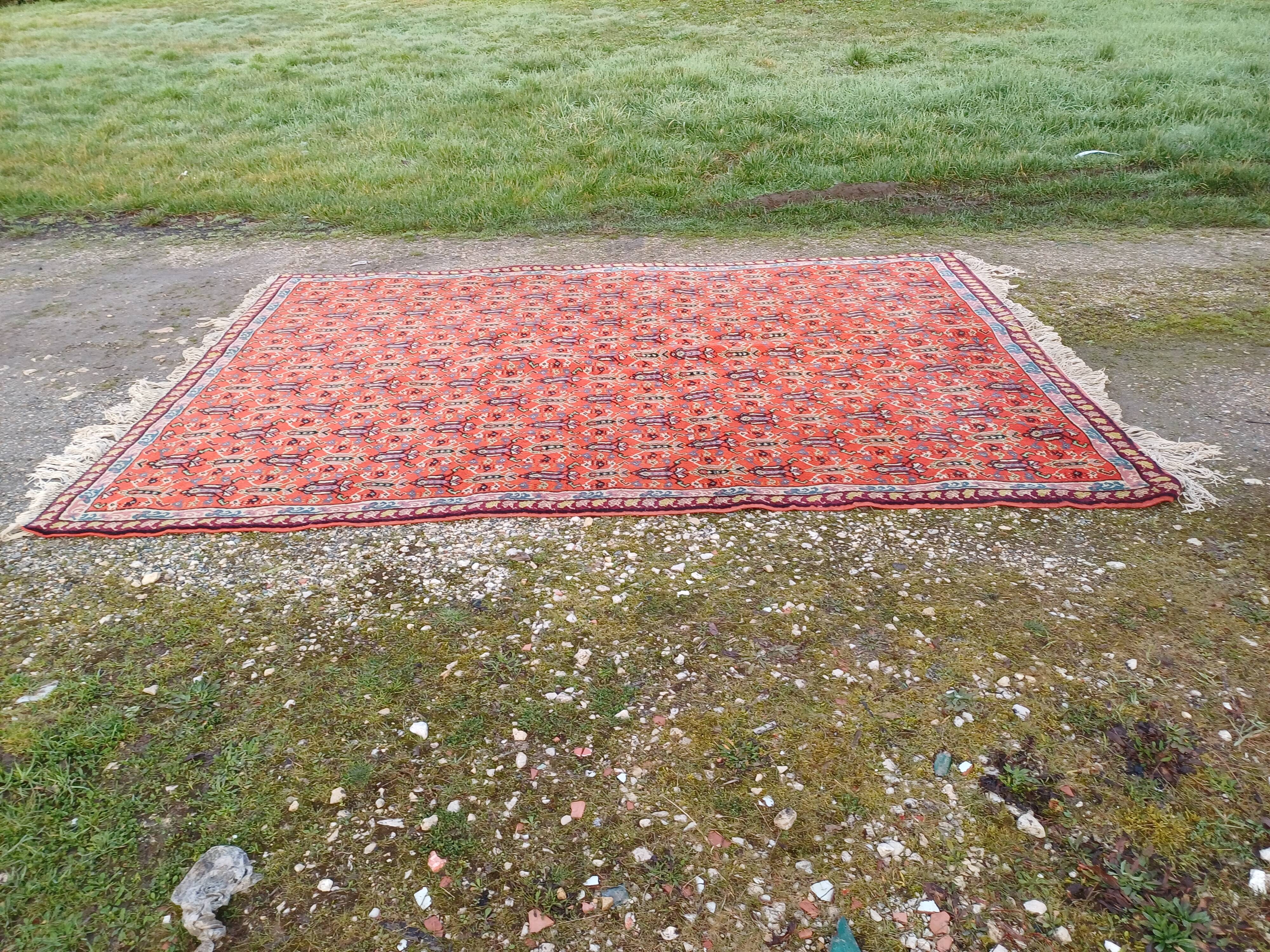 Moroccan hand-knotted wool rug