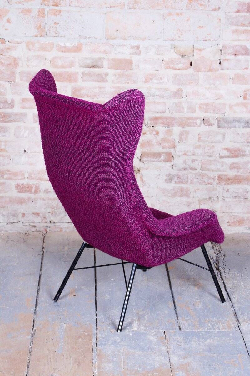 Mid-Century Wingchair in Plastic Fiber from Miroslav Navratil, Czech, 1950s
