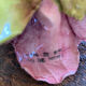 Rose-shaped earthenware candle holder