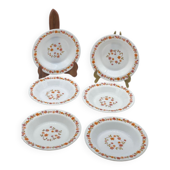 Service de 6 assiettes creuses , soupe / scania arcopal france, vintage, fleurs