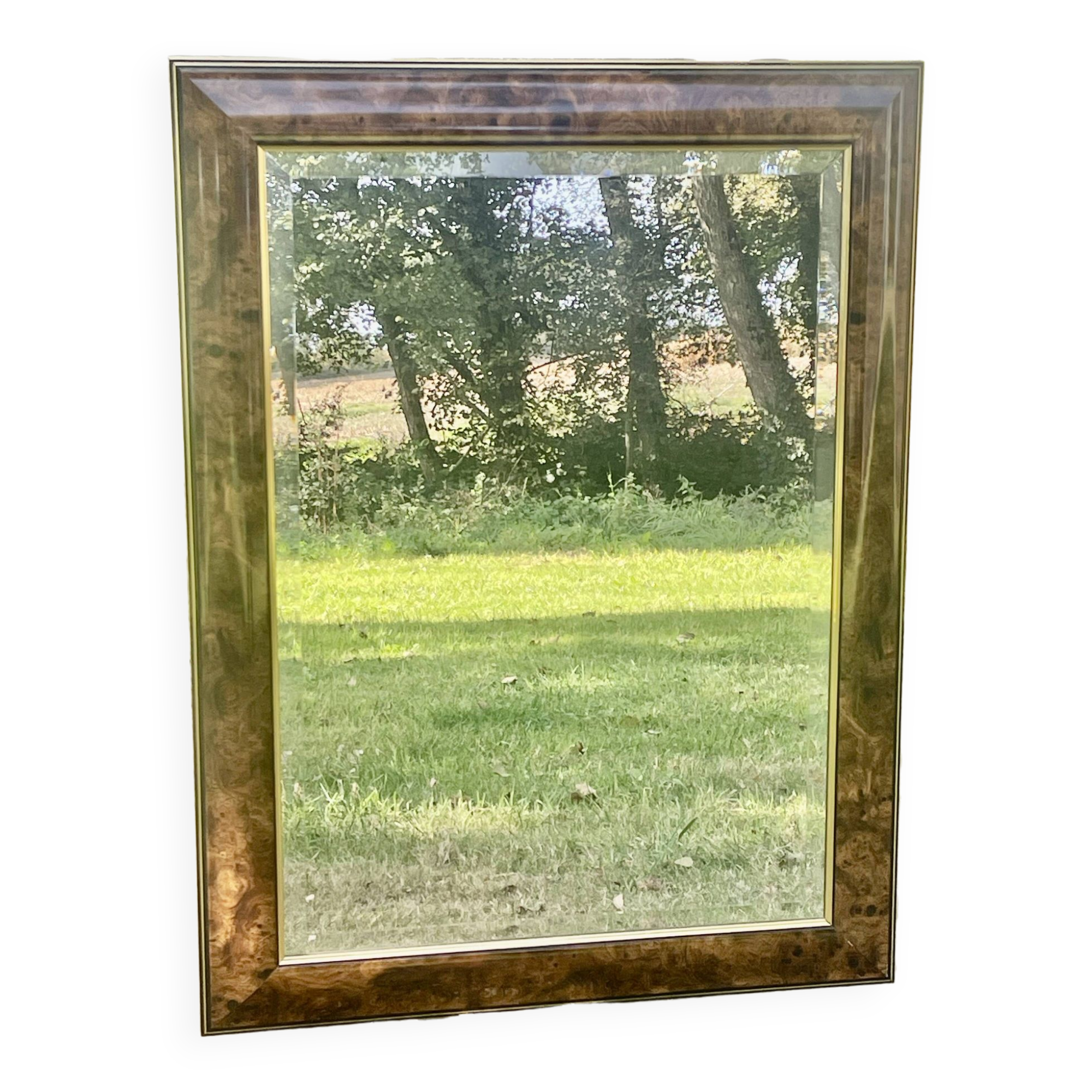 Grand miroir moulure doucine loupe d'orme, miroir biseauté