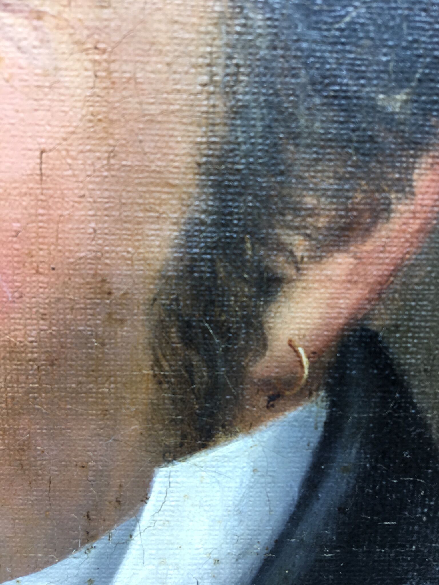 Signed painting, portrait of a gentleman with a book and an earring: 19th century
