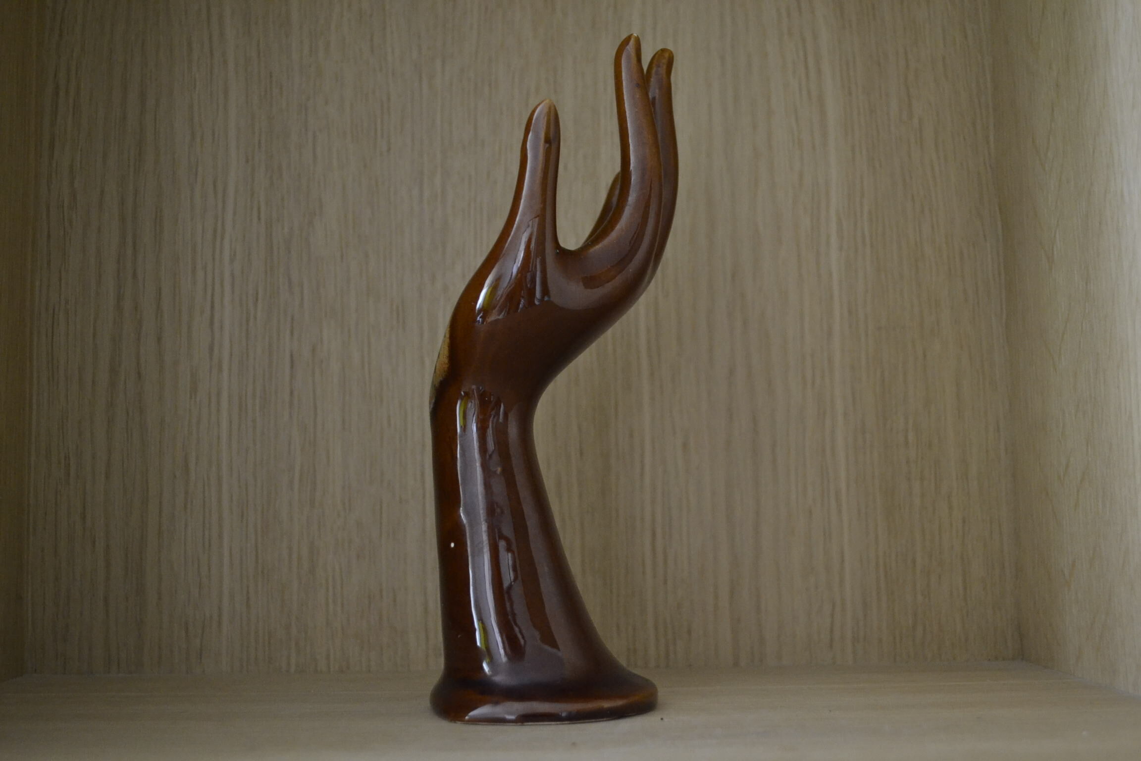 Brown and green baguier hand