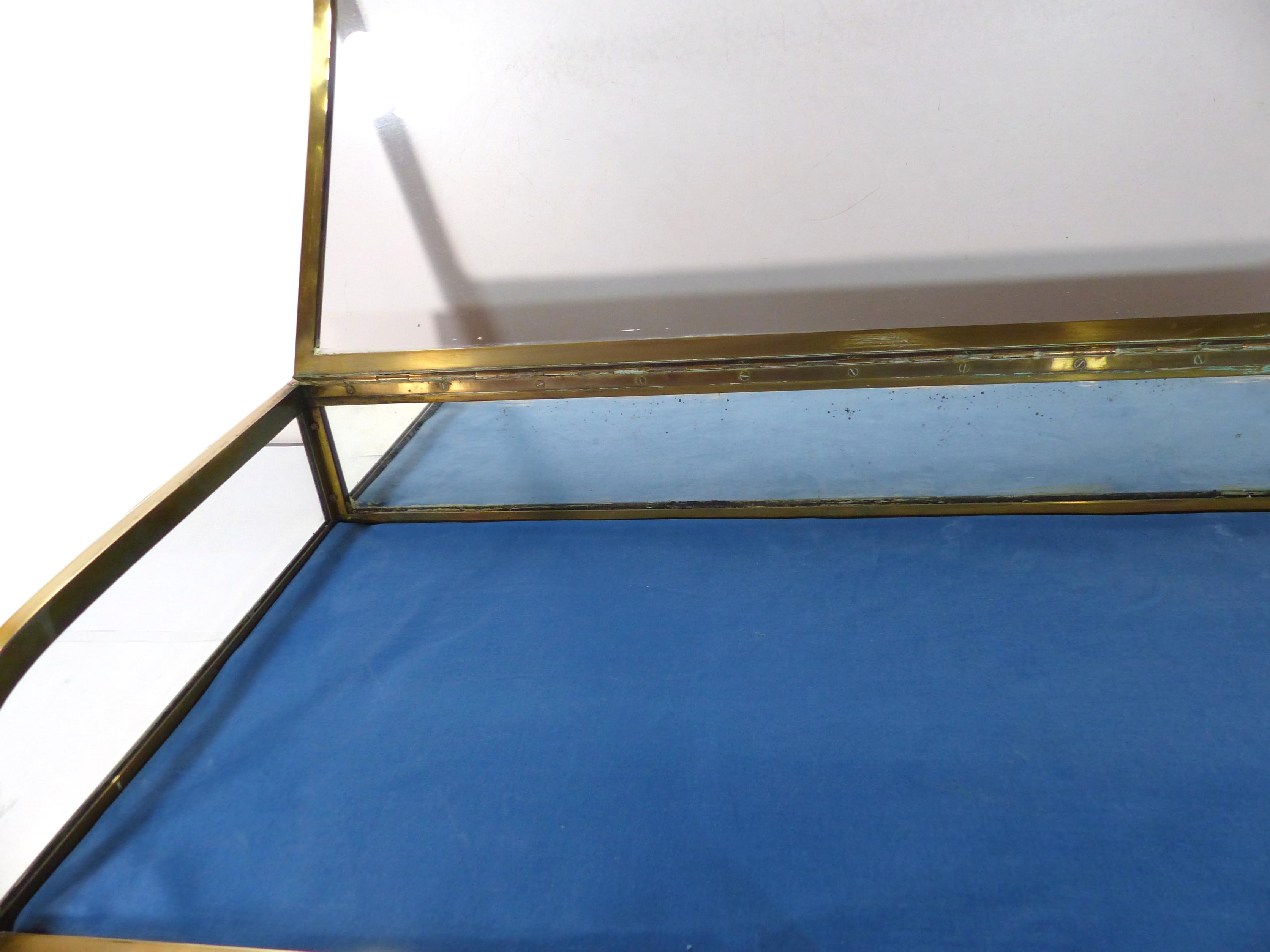 Showcase glass dome and gilded brass