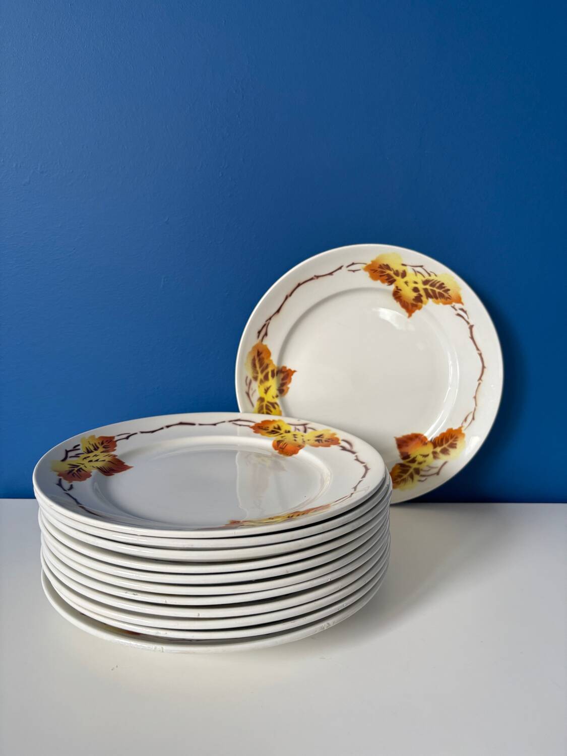 Set of 6 Moulin des Loups plates – French earthenware tableware – mo