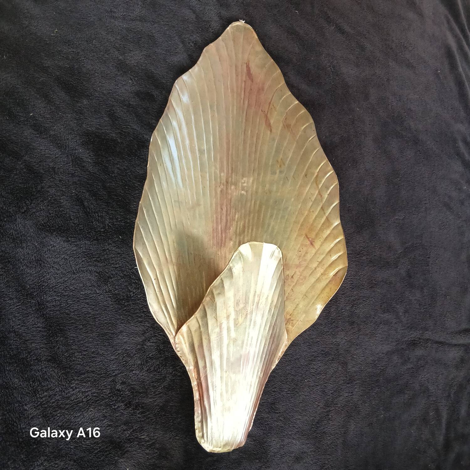 Huge shell art wall light
