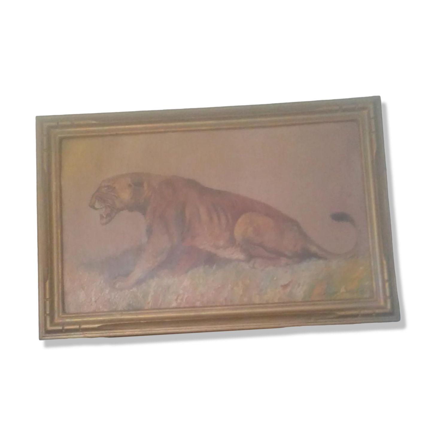 Lioness painting by Xavier Sager