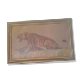 Lioness painting by Xavier Sager