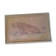 Lioness painting by Xavier Sager