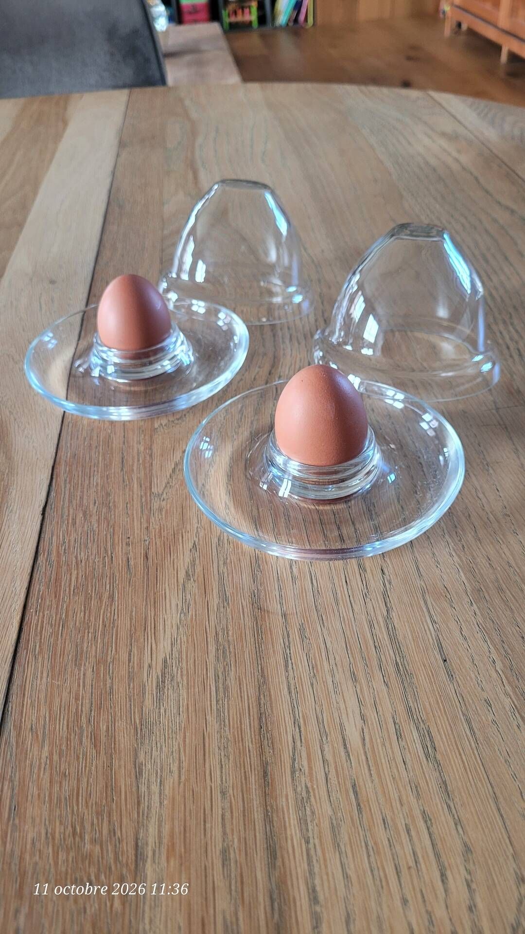 2 egg cups with matching glass cloches in transparent glass
