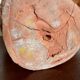 Terracotta head sculptures - 2 pieces
