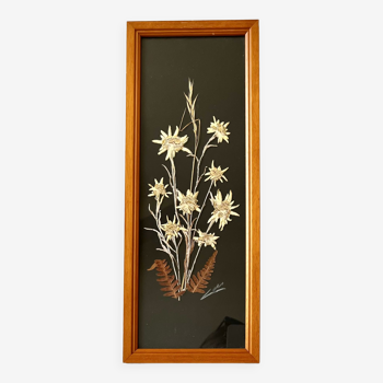 Vintage mountain edelweiss flower herbarium frame