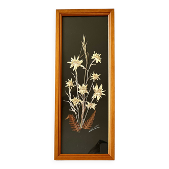 Vintage mountain edelweiss flower herbarium frame