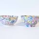 Pair of Chinese porcelain bowls with floral decoration