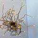 IKEA Stranne lamp - stainless steel & plastic tree 80's 90's - Octopus medusa lamp