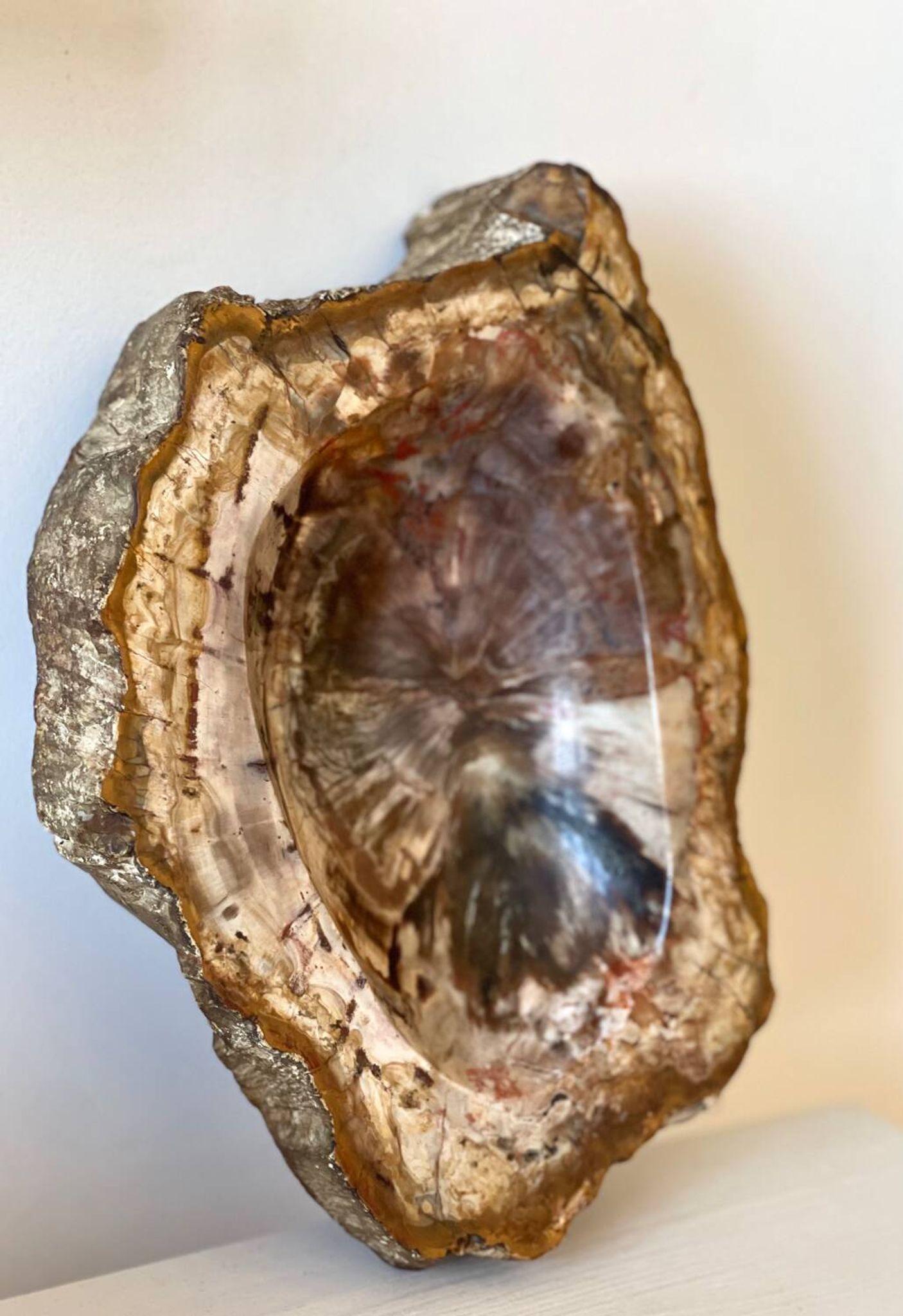 Petrified wood catchall