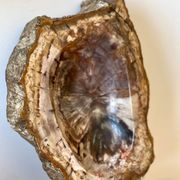 Petrified wood catchall