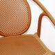 Suite de 14 chaises de jardin Pedrali