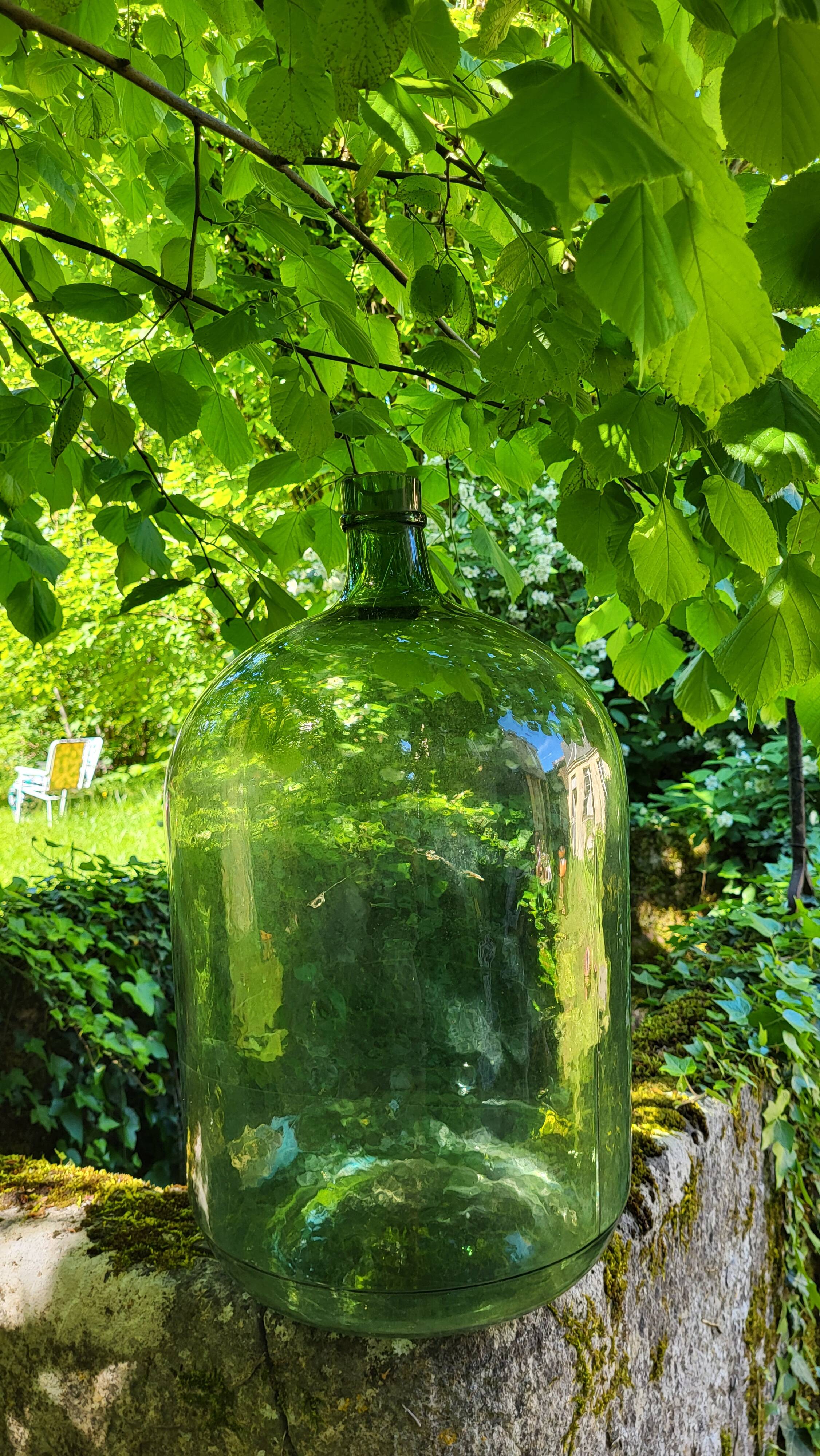 Lady Jeanne / 22 L carboy