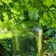 Lady Jeanne / 22 L carboy