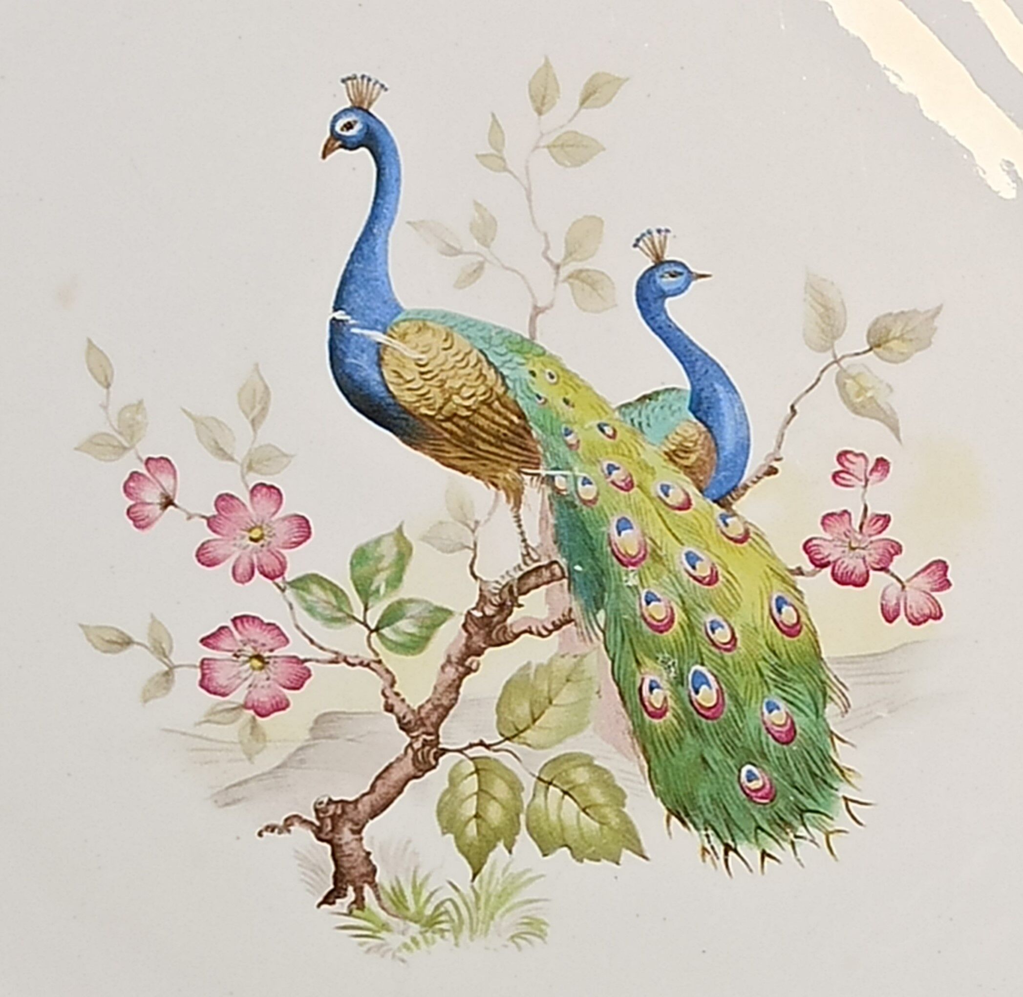 Serving dish - peacock décor - l'Amandinoise