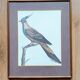 Set of 2 old bird frames, vintage ornithological paintings