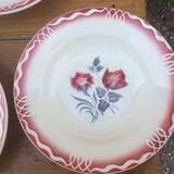 Sarreguemines 5 plates