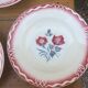 Sarreguemines 5 plates