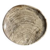 Petrified wood catchall or dish in light grey with rings D27x25 -3320