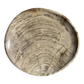 Petrified wood catchall or dish in light grey with rings D27x25 -3320
