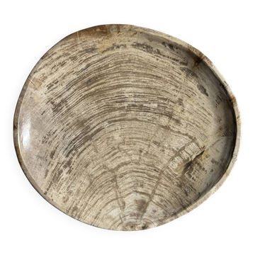 Vide poche ou plat en bois pétrifié gris clair cernes D27x25 -3320