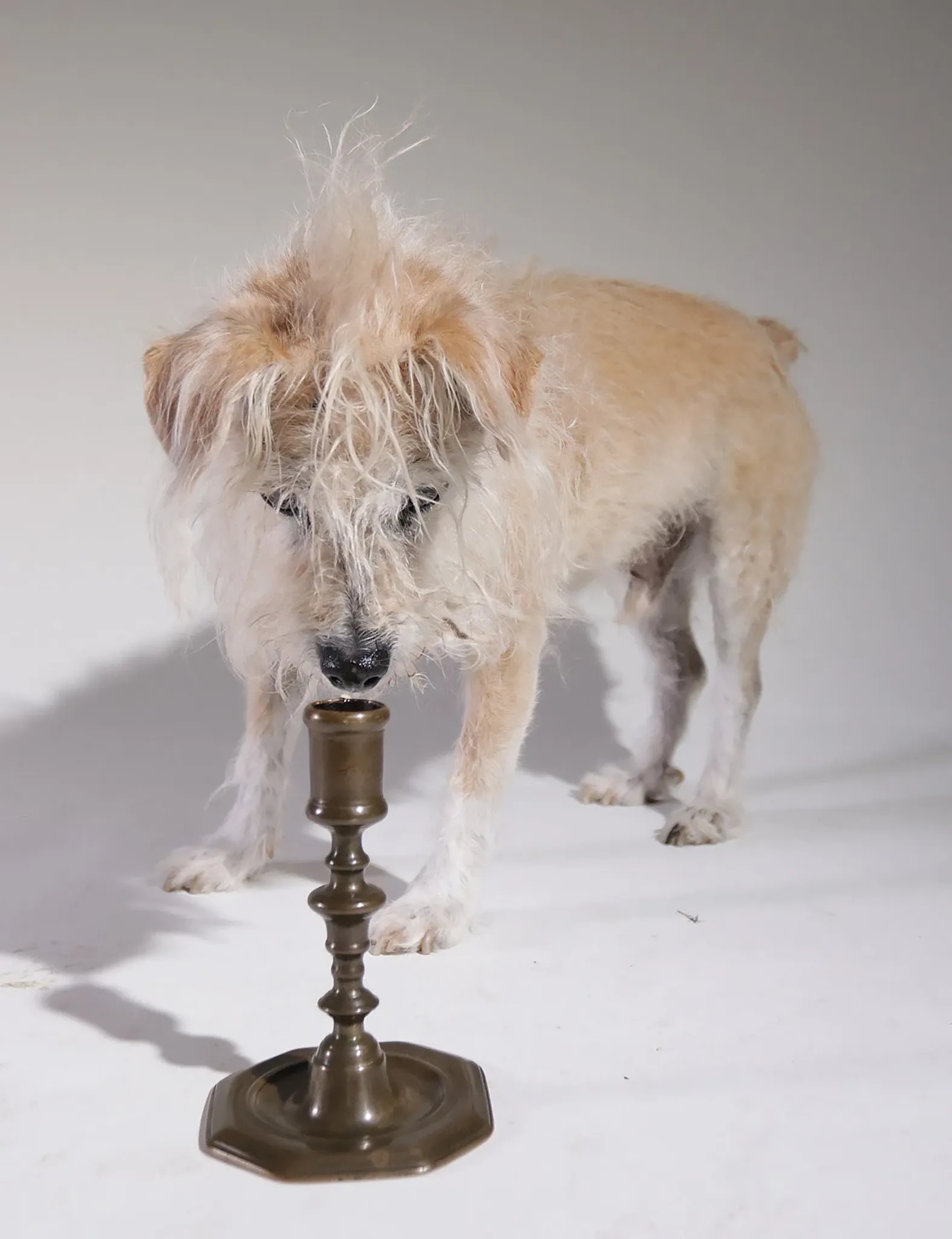French 18th-century brass candlestick – Louis XV