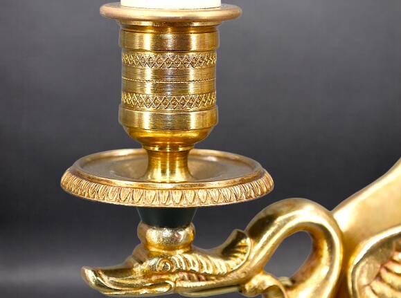 Flamboyant Pair of Candelabra/Chandeliers Solid Bronze Empire Style